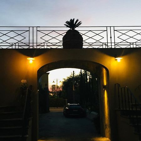 B&B L' Orangerie Pietrasanta Eksteriør bilde