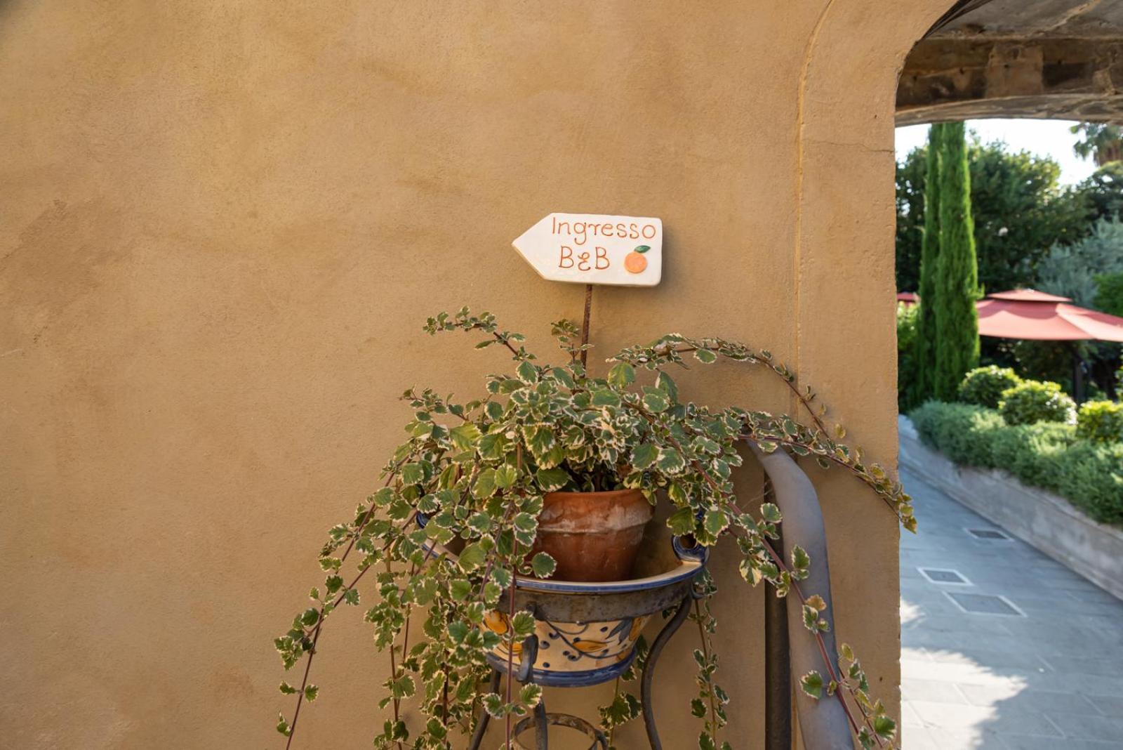 B&B L' Orangerie Pietrasanta Eksteriør bilde